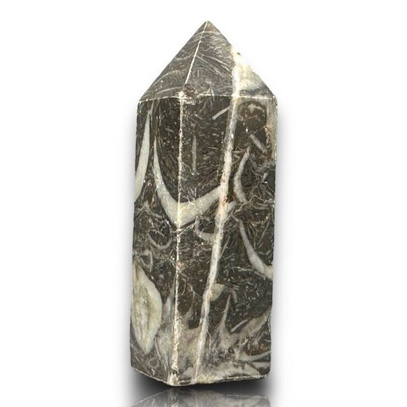 Shell Jasper Tower Black White Serenity Stability Protection 68g NWOT Cleansed - Picture 11 of 12